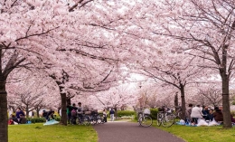 www.learnjapanese123.com