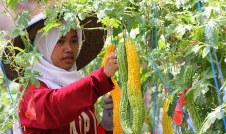 Petani muda (Antara Foto/Ari Bowo Sucipto) 