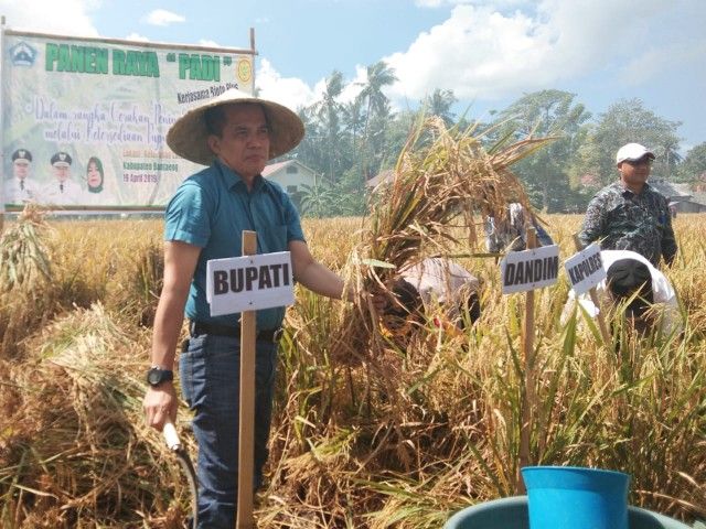 Sekda Bantaeng (baju biru) memanen padi bersama Forkopimda (19/04/19).
