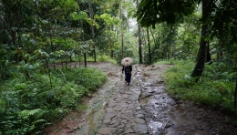Berjalan di rimbunan hutan kampung baduy