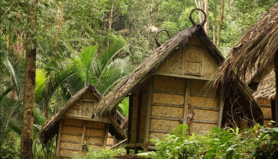 Lumpung penyimpanan hasil kebun