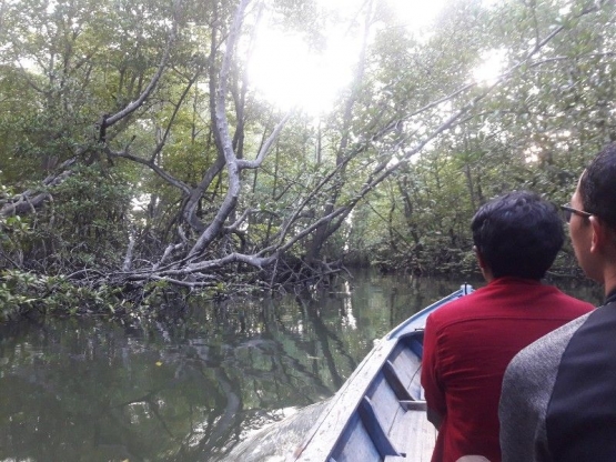 Memasuki konservasi mangrove (dokpri)