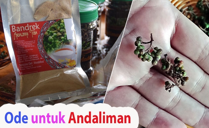 Andaliman. (Foto GANENDRA)