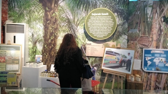 Seorang pengunjung sedang membaca informasi tentang sawit di Museum Pertanian (dokpri)
