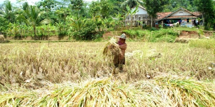 Gambar: kompas.com