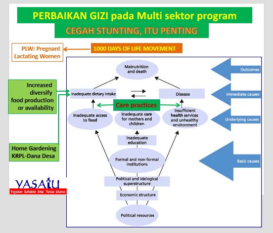 Penggunaan Dana Desa Untuk Pencegahan Stunting - Kompasiana.com