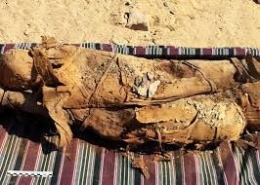 sumber: https://www.9news.com.au/national/mummy-discovery- 