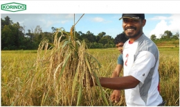 Deskripsi : KORINDO menyediakan lahan pertanian bagi masyarakat Boeven Digoel, Papua I Sumber Foto : korindo.co.id