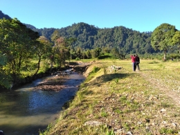 Kawasan Persawahan di Latar TN. Gunung Leuser Kab. Langkat-Sumatera Utara (dokpri)
