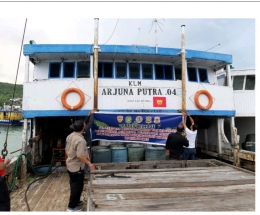Tim Penyidik Balai Gakkum Wil. Sulawesi Amankan Tersangka dan Barang Bukti Kayu Merbau Illegal dari Malut/dokpri