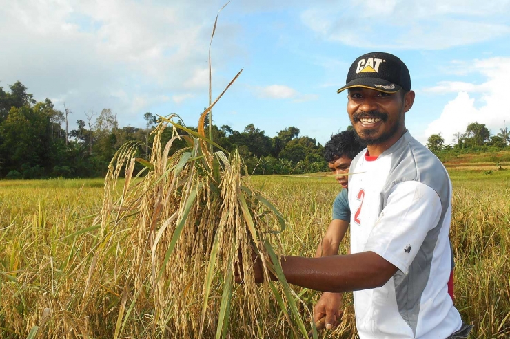 Papua, Propinsi Kaya Sumber Daya Alam Butuh Sentuhan Lebih. sumber: korindonews.com