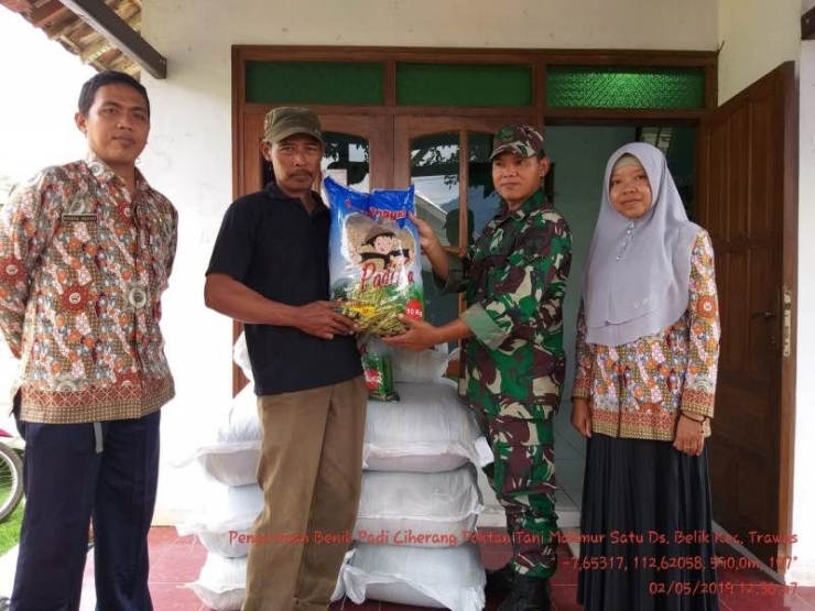 Bersama BPP Babinsa Kawal Distribusi Benih Bantuan Di Desa Belik (Dokpri)