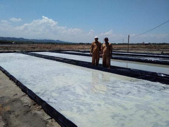 Lahan garam integrasi di Kabupaten Pidie Jaya