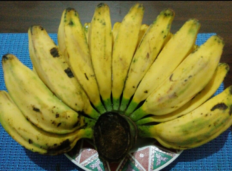 Buah pisang yang kaya manfaat