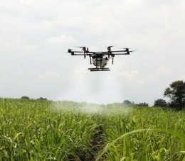 penyemperotan padi dengan drone (uavcoach.com)