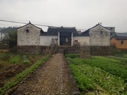 Kuil Desa Persahabatan Dikelilingi Kebun Sayur