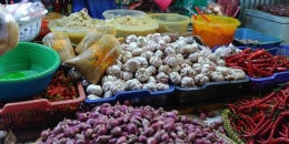 Harga beberapa kebutuhan pokok termasuk bawang putih mulai merangkak naik di bulan Ramadan | Kompas.com/Pramdia Arhando Julianto