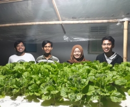 foto pribadi (Urban Farming : Bisnis Hidroponik bersama Teman Kuliah )