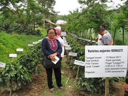 Foto di salah satu training centre pertanian, Berastagi-Sumatera Utara tahun 2018(Sumber Foto: Dokumen BITRA Indonesia)