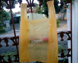 Kantong plastik sekali pakai yang biasa untuk membawa barang belanjaan (Sumber: dokummen pribadi)