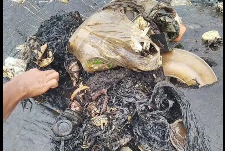 Sampah plastik yang ditemukan di dalam perut ikan paus - Foto WWF Indonesia