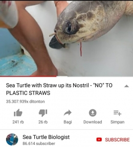 Hasil screnshot youtube yang memperlihatkan seekor penyu dengan sedotan di lubang hidungnya