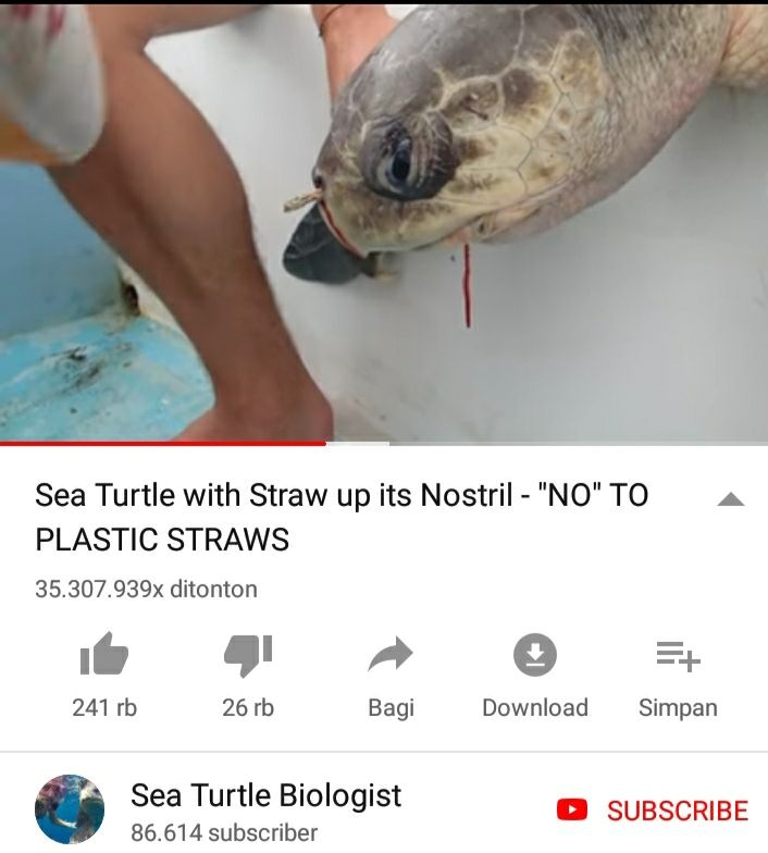 Hasil screnshot youtube yang memperlihatkan seekor penyu dengan sedotan di lubang hidungnya