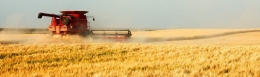 Proses Panen di negara-negara dengan pertanian maju sudah menggunakan teknologi modern (Sumber gambar : http://www.dupont.com)