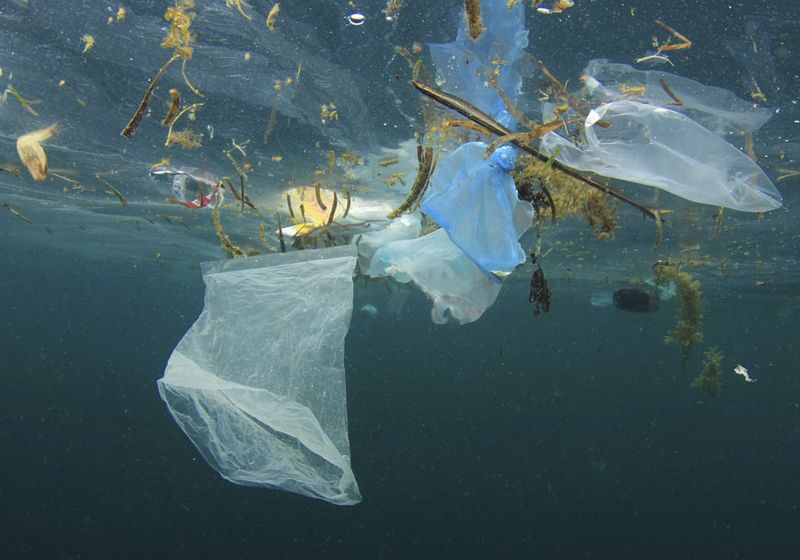 sampah plastik di lautan (sumber foto: ukonserve.com)