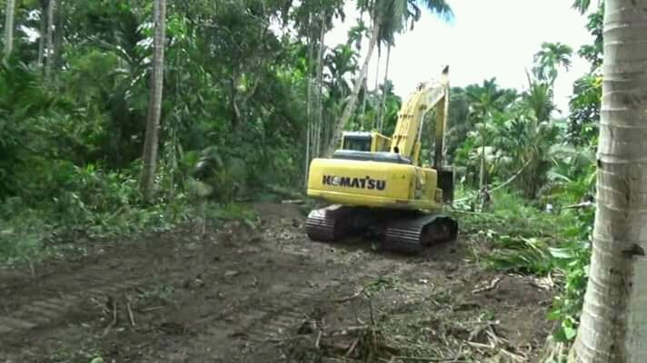 Ft: Eksavator saat membuka lahan