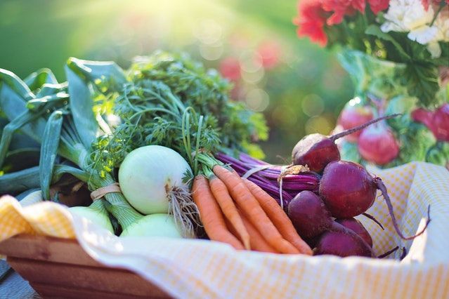Sayuran kaya serat/pixabay.com