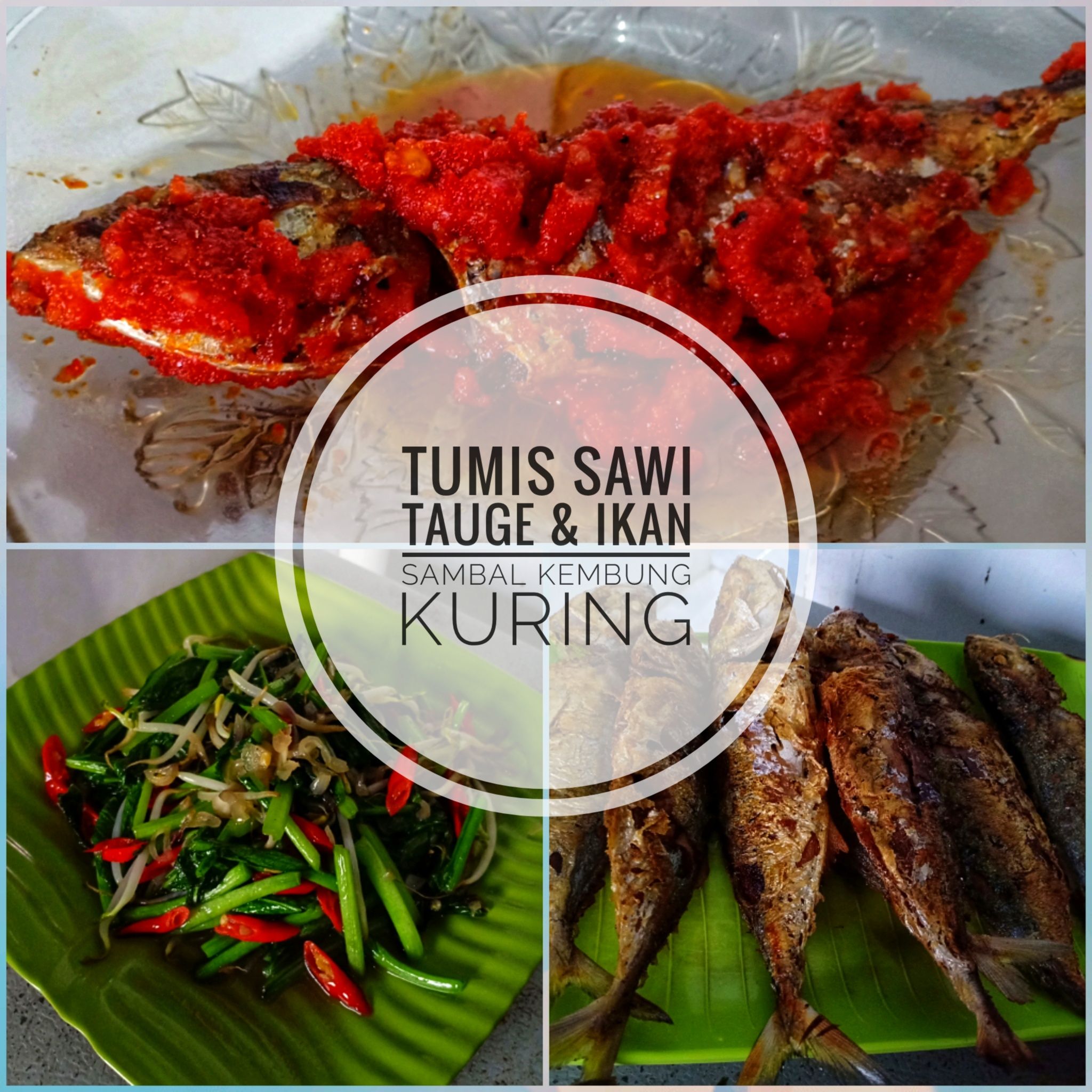 Tumis sawi tauge dan ikan sambal kembung kuring (dokpri)