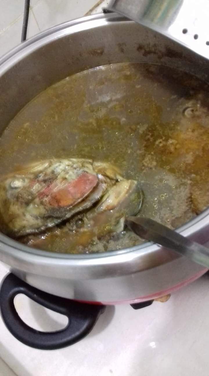 Kepala ikan salmon