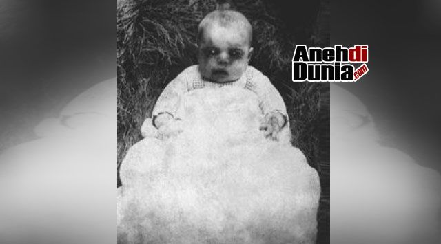 Ilustrasi: anehdidunia.com