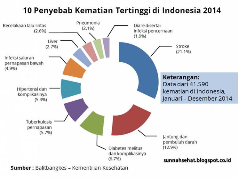 Penyebab Kematian di Indonesia-dok:sunnahsehat,blogspot.co.id