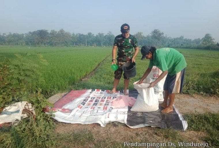 Sumber Pendim 0815 Mjk