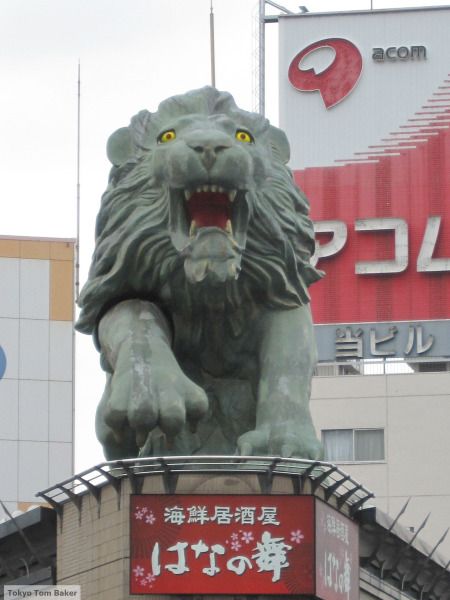 www.tokyotombaker.wordpress.com | Seekor singa besar sedang mengaum, diatas atap bangunan tinggi, di Kawaguchi Saitama