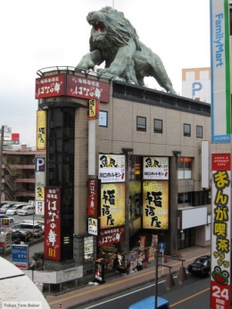 www.tokyotombaker.wordpress.com | Bangunan tempat si singa berdiam adalah bangunan2 izikaya2 (toko atau bar atau pub yang menjual sake), untuk bersantai selepas bekerja. 