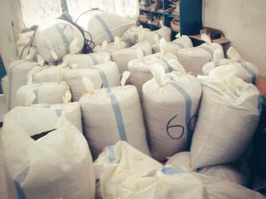 Salah satu perkebunan saya yang dekat dengan sawa (dok. Pribadi)