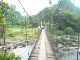 Jembatan  yang menghubungkan Training Centre Sayum Sabah, dimana konservasi lingkungan dilakukan (Sumber, dokumentasi BITRA Indonesia)