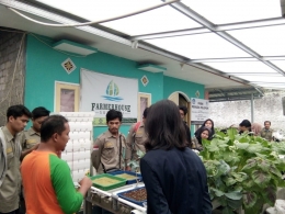 Gambar 1. Pelatihan tanaman hidroponik oleh Endud di Farmer House Sukabumi - dokpri.