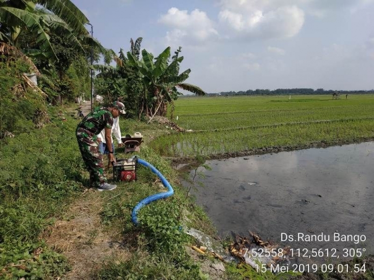 Babinsa Koramil 0815/09 Mojosari Bantu Petani Pengairan Lahan Sawah (Pendim 0815 Mojokerto)