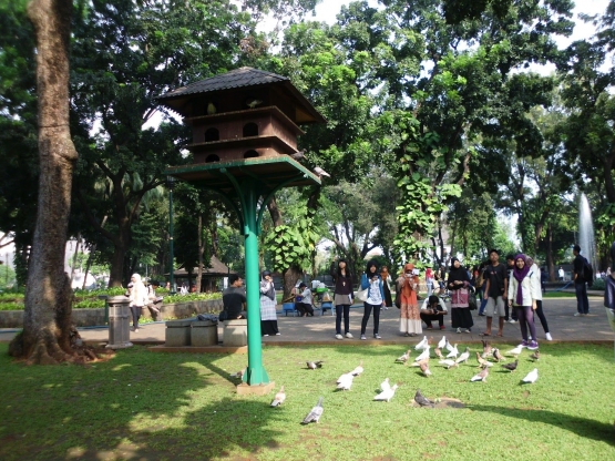 bisa berteman burung di Taman Suropati (dok.jejakpiknik.com)