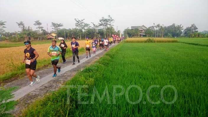 Para pelari MJM 2019 sedang berlari di antara area persawahan. Dok. tempo.co
