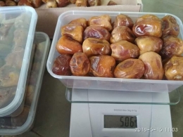 Mengemas kurma dalam box plastik