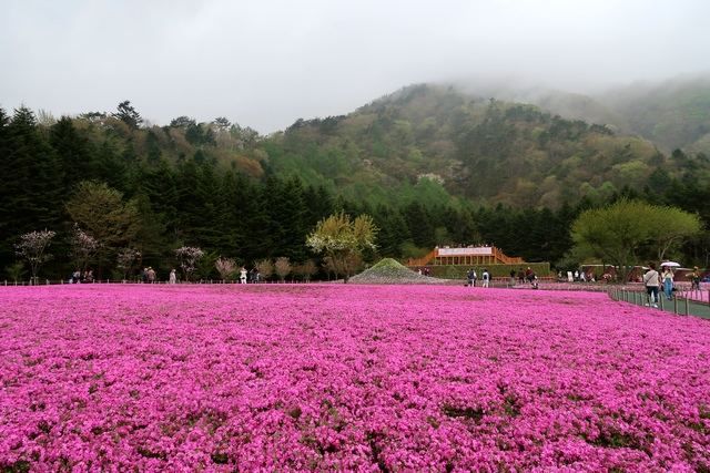 Ada tiruan Gunung Fuji kecil di lokasi (dokpri)