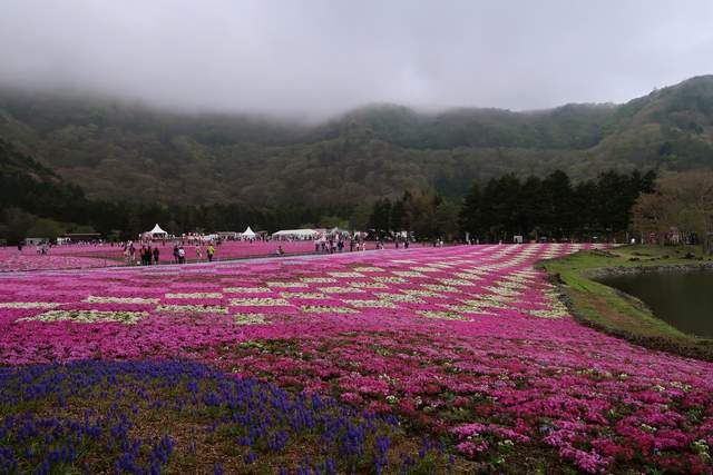 Suasana mendung menambah kontras pemandangan (dokpri)