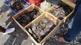 Kepiting, Banyak Dijual di Gorong-Gorong (Dokumen Pribadi)