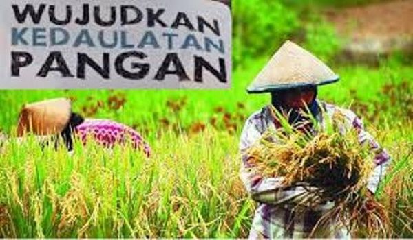 Pertanian Indonesia Berpotensi Maju. Sumber Nusantara News