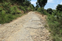 Jalan menuju Motung yang rusak menyebabkan para petani kurang semangat ke ladang/Dokpri